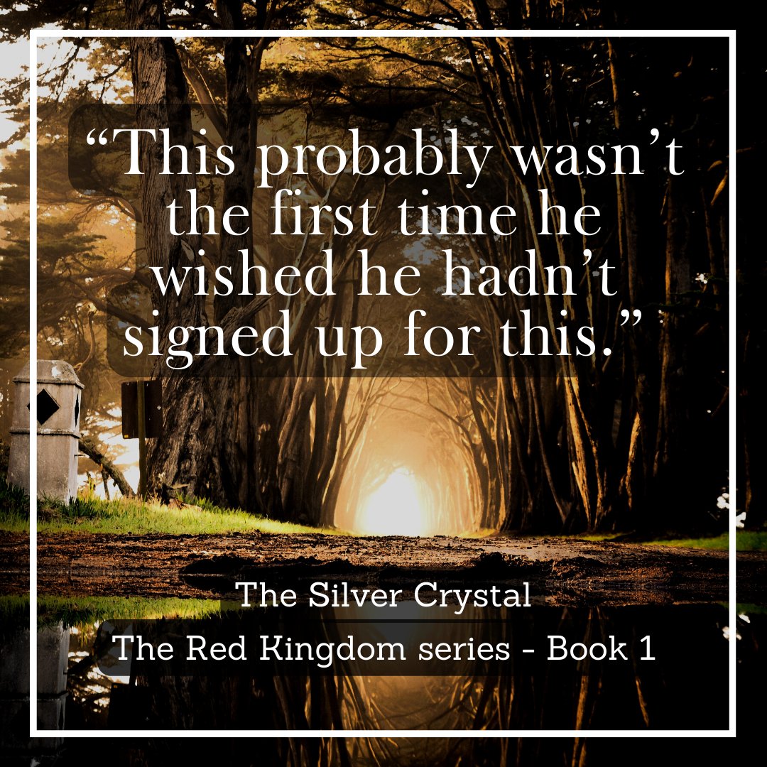 The Silver Crystal amazon.com/Silver-Crystal… #amreading #fantasy #books