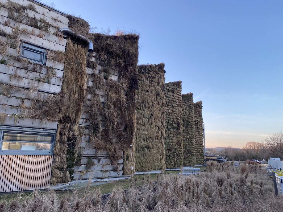 ltembassycz's tweet photo. How do you build a successful company? (A) trade w/ #Lithuania, (B) hire a #Lithuanian. The super smart, super innovative&amp; super #green family company of @Jihomoravsky_kr 🇨🇿, https://t.co/Twmm6Q1XiR, has employed both trade &amp; a 🇱🇹, Valentýna Jonaitis
#GlobalLithuania🌍
@invest_LT https://t.co/BmDmkPBWFV