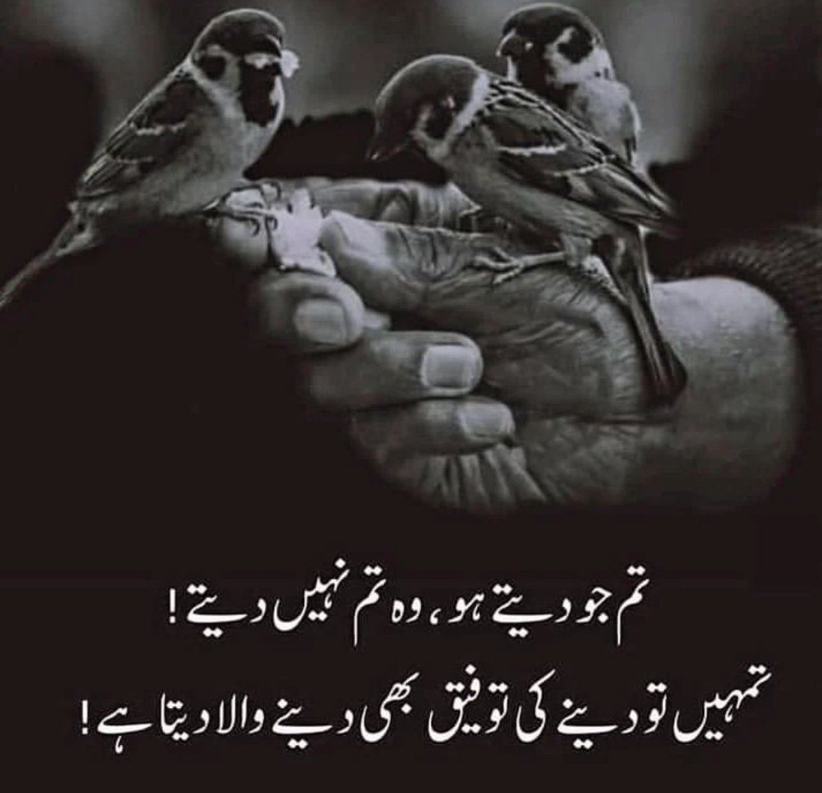 السلام و علیکم۔ ☺️🌺

صبح بخیر 🌺🌸 

 بیشک اللّٰہ بڑا رحیم اور غفور ہے ❤️🌺

#bbtvi #GrandeFratello #IDoNotConsent #LoveIsland #พัฒนาการ #tocatchacopper