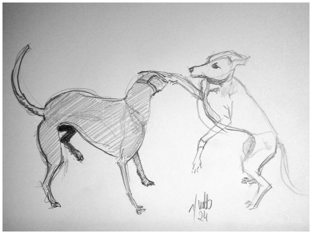 Ovalfuenf's tweet photo. 30 #sketchjanuary
#kleineKunstklasse https://t.co/uO5LufAVbT