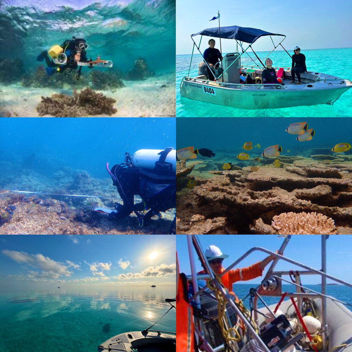 🐠🪸🤿 Job alert: the Marine Science Program at DBCA in Perth are looking for a senior technical officer ($87-92K) &amp; it’s permanent! search.jobs.wa.gov.au/page.php?pageI…