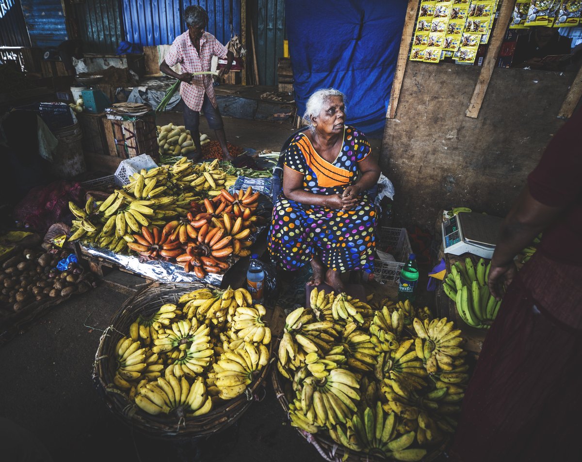 S_MorningLight's tweet photo. BANANA AMMA
#FOSEMarket, #Pettah. Nov 2023. More@ https://t.co/YwnttlBxb6
#RF15_35_2_8L courtesy @Canon_SL
#streetphotography #bananas #canonsrilanka #colombo #elderly #everydaysrilanka #fresh #fruitandveg #fruitvendor #lifeinthecity #marketsofcolombo #SeniorCitizens #SriLanka https://t.co/OzdVx9x4w9