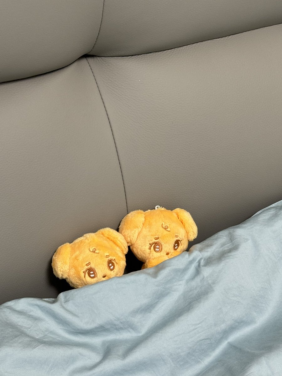 겸만두 tweet media