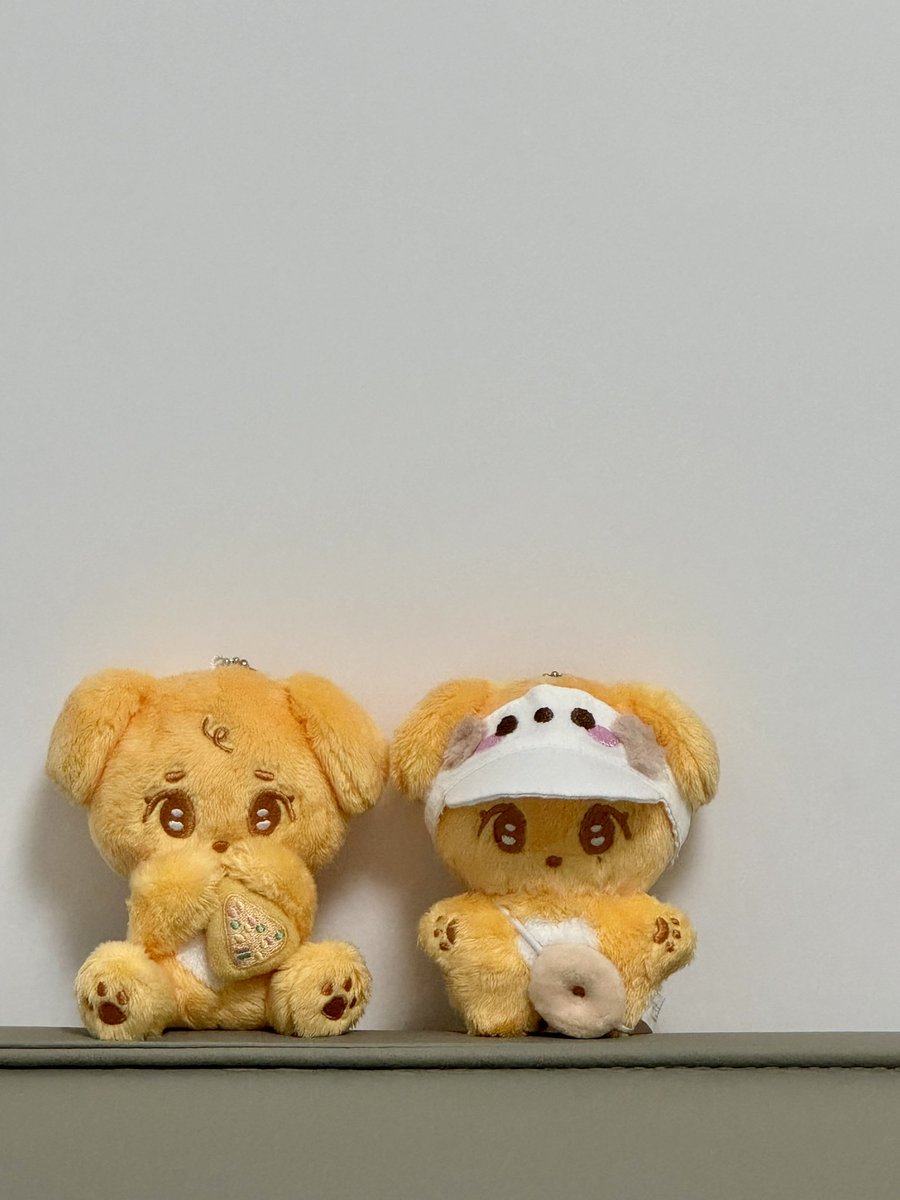 겸만두 tweet media