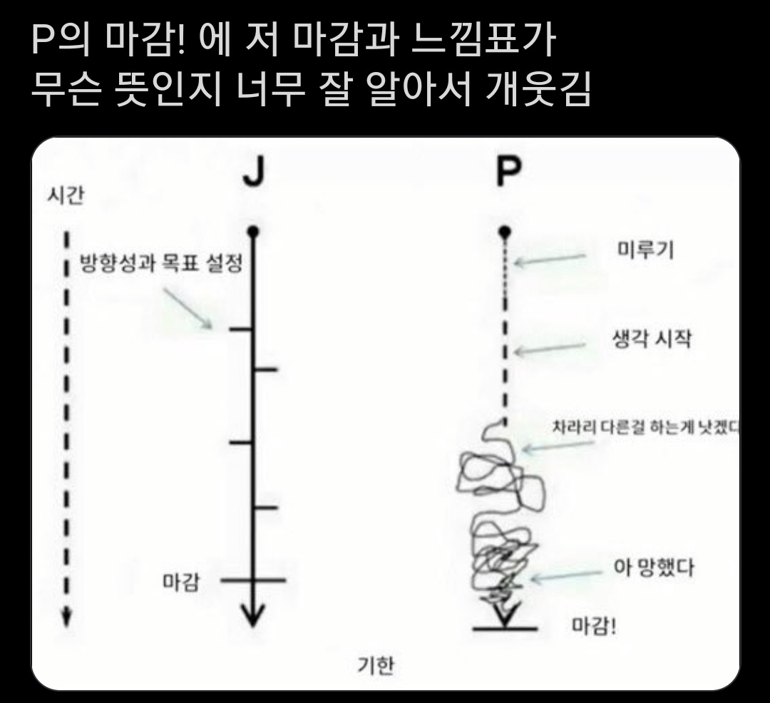 J와 P의 계획 차이