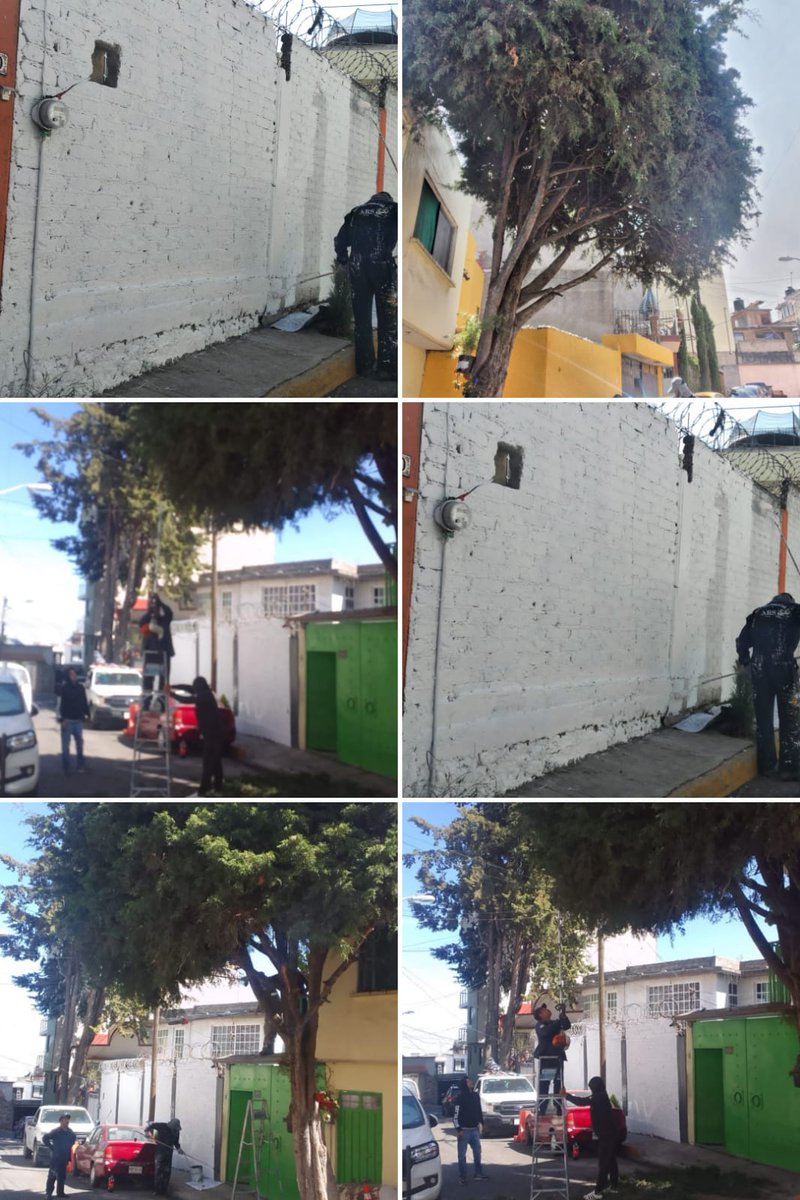 TSpartanos's tweet photo. La Brigada de Reacción Inmediata del Alcalde @AdrianRubalcava realizó pinta de fachada y poda para mitigacion de riesgo en calle níspero colonia San José de los cedros.
#HechosNoPalabras 
#BRIARS
@gesquivelg @AlcCuajimalpa https://t.co/FBhz0N8gpv