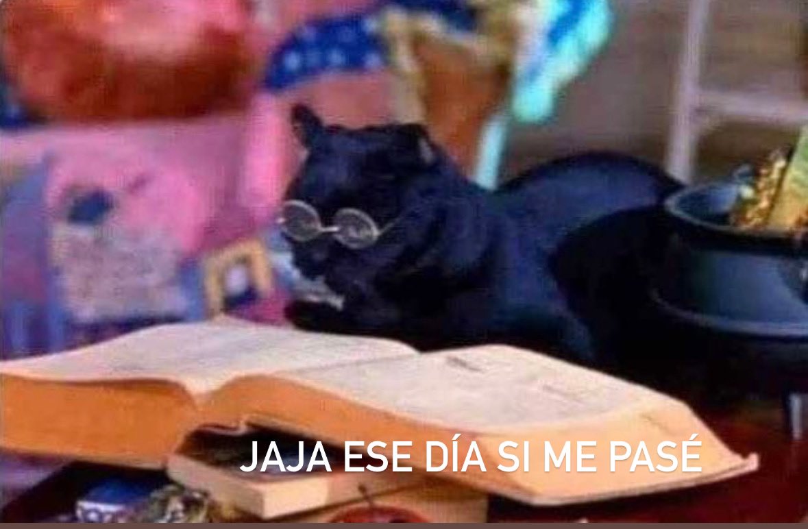 Palejaz's tweet photo. Silvestre viendo todos los videos que han subido hoy 😅 https://t.co/nXN5QKzRz8