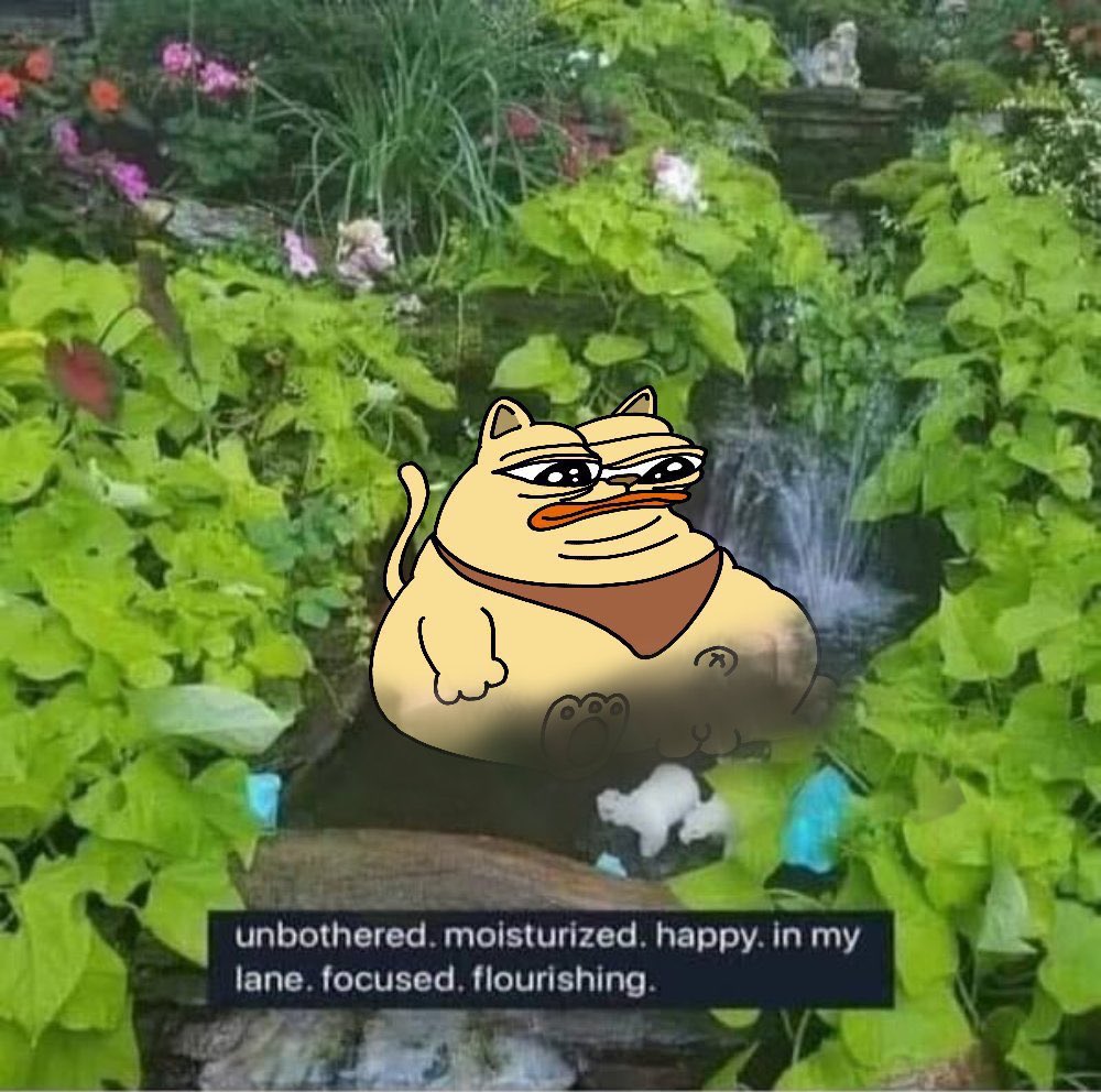 TheGoldJordan's tweet photo. Found my first 100x
@chonkycom 
Found my next 100x
@chonkycom https://t.co/osD0vHfaN7