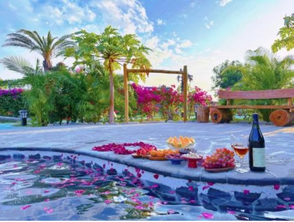 ContactHainan1's tweet photo. Now, you can discover the beauty of treasured Hainan Rosewood at the newly opened #HainanRosewoodValley. This is the first local attraction in China to be themed around the Hainan Yellow Rosewood, and is also the first national AAAA ranked scenic spot in #Dongfang City. https://t.co/wCqyFWBUVX