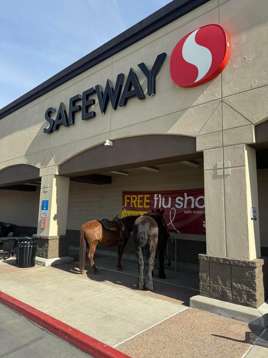 just another grocery shopping day in Prescott, AZ