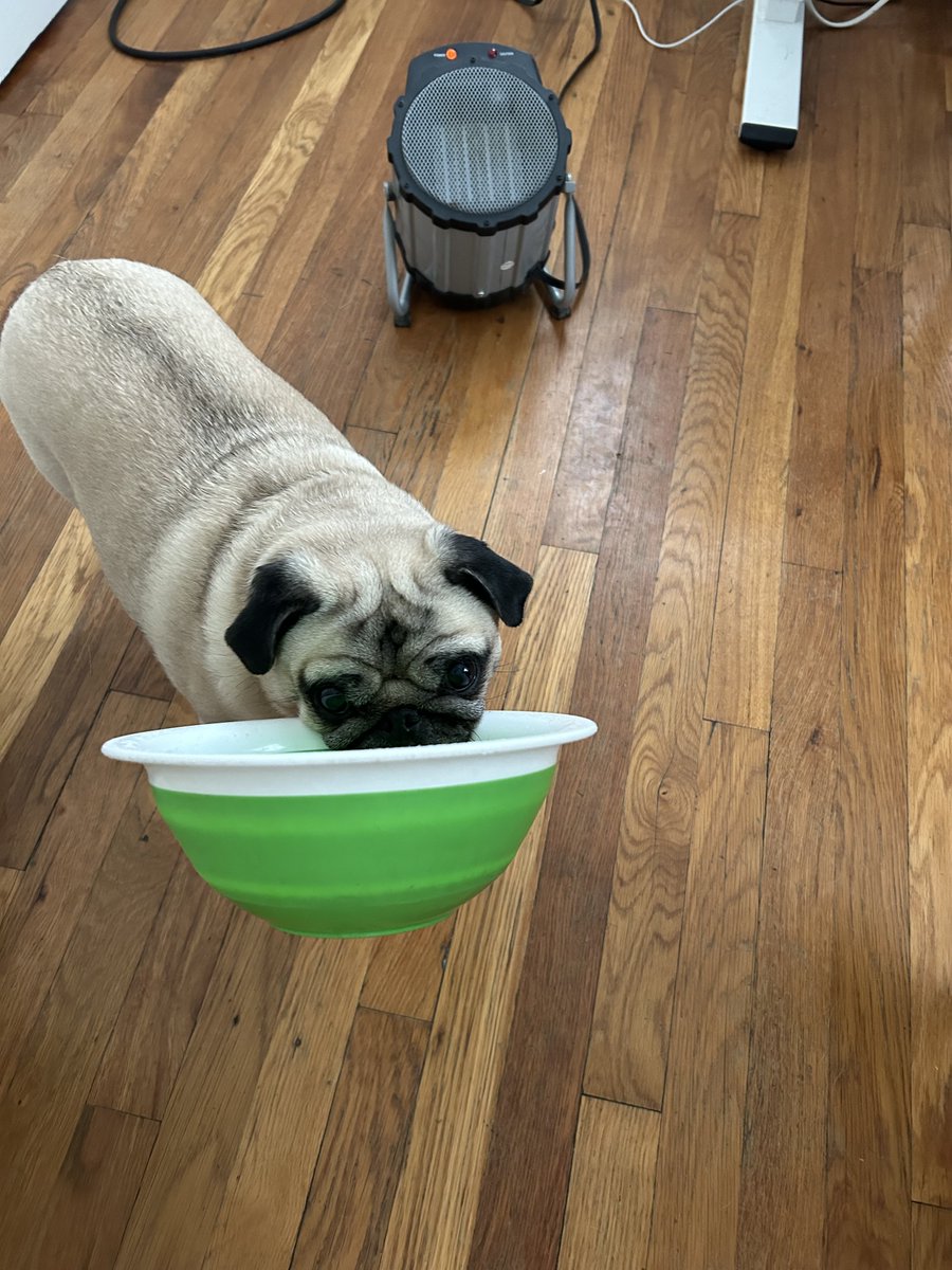 Oona's audition for "Oliver"