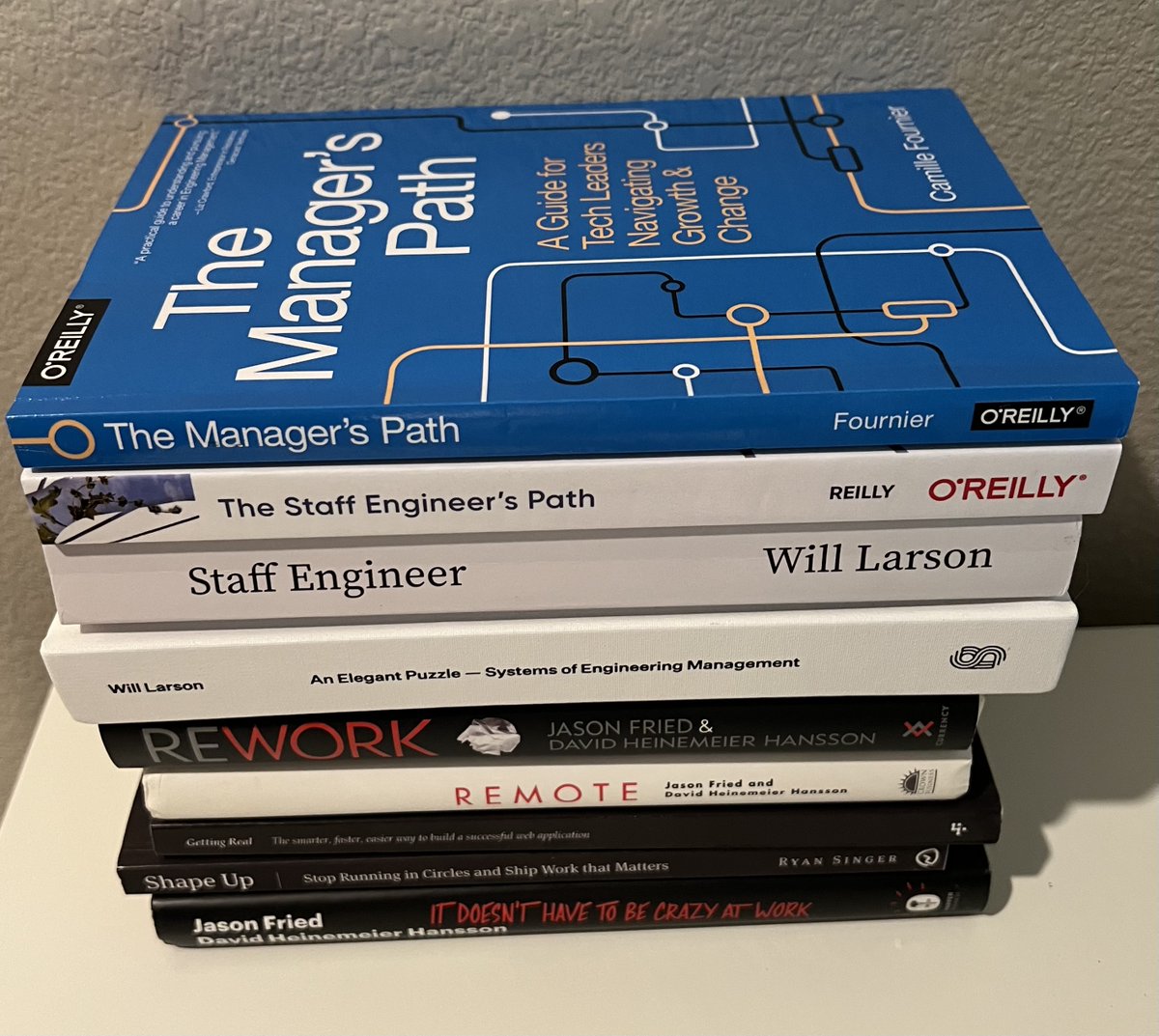 2023年，我最大的收益之一就是发现了许多优秀的书籍。这些书对我的职业发展提供了极大的帮助。照片中是我去年买的和职业发展相关的书籍。大致可以把这些书分为三个类别。

第一类，关于理解和成为（或选择不成为）Manager 的书籍：

- 《The Manager's Path》✨（经典必读，即使不想当 Manager）
-《An