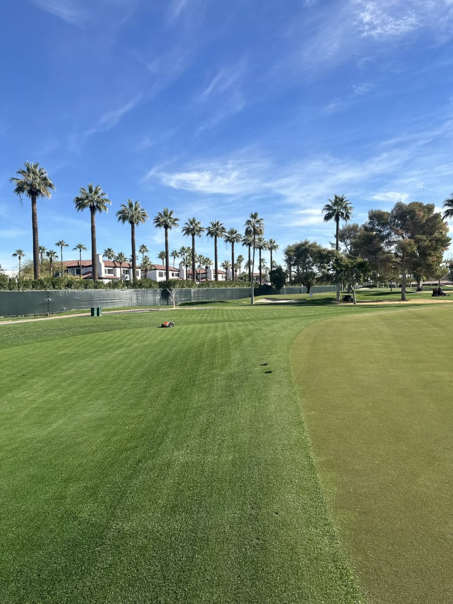 Charlie Robots tweet media