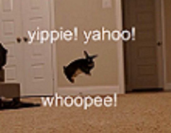 ᅠ 

ᅠ
                              Me @ my gf 

ᅠ