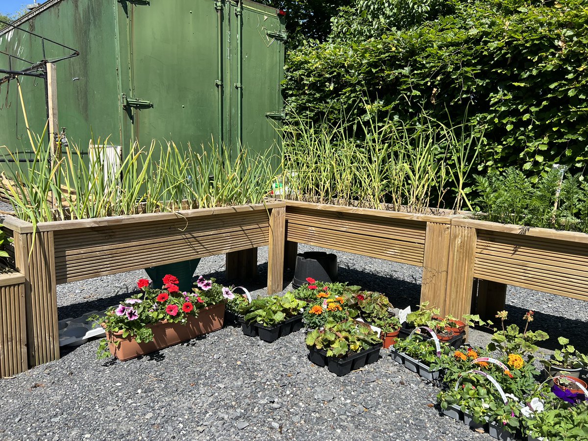 SueRyderIreland's tweet photo. @RTEUpfront We can’t wait for Spring so see your garden blooming Mary ! 

#sueryderireland #carlow https://t.co/5T0nikSAp7