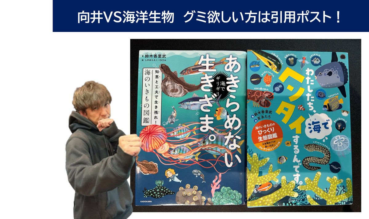 flat954's tweet photo. 火曜ふらっとプレゼント🎁 

向井VS海洋生物！向井さんが海洋生物に関するクイズを1問正解する度に10名にグミをプレゼント！みなさん、向井さんへ応援メッセージ待ってます！

＜参加方法＞
 ①このアカウントをフォロー
 ② #ふらっと954 をつけて  
 この投稿を引用リポスト  締切は明日、1月31日24時まで！