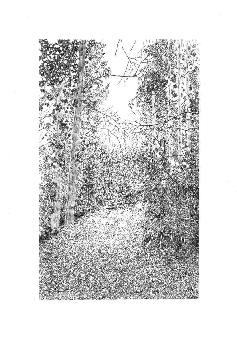 The Long Loop at Nagshead II, 21cm x 14.9cm, pen on paper. Available professionally framed at claireleach.com/shop.