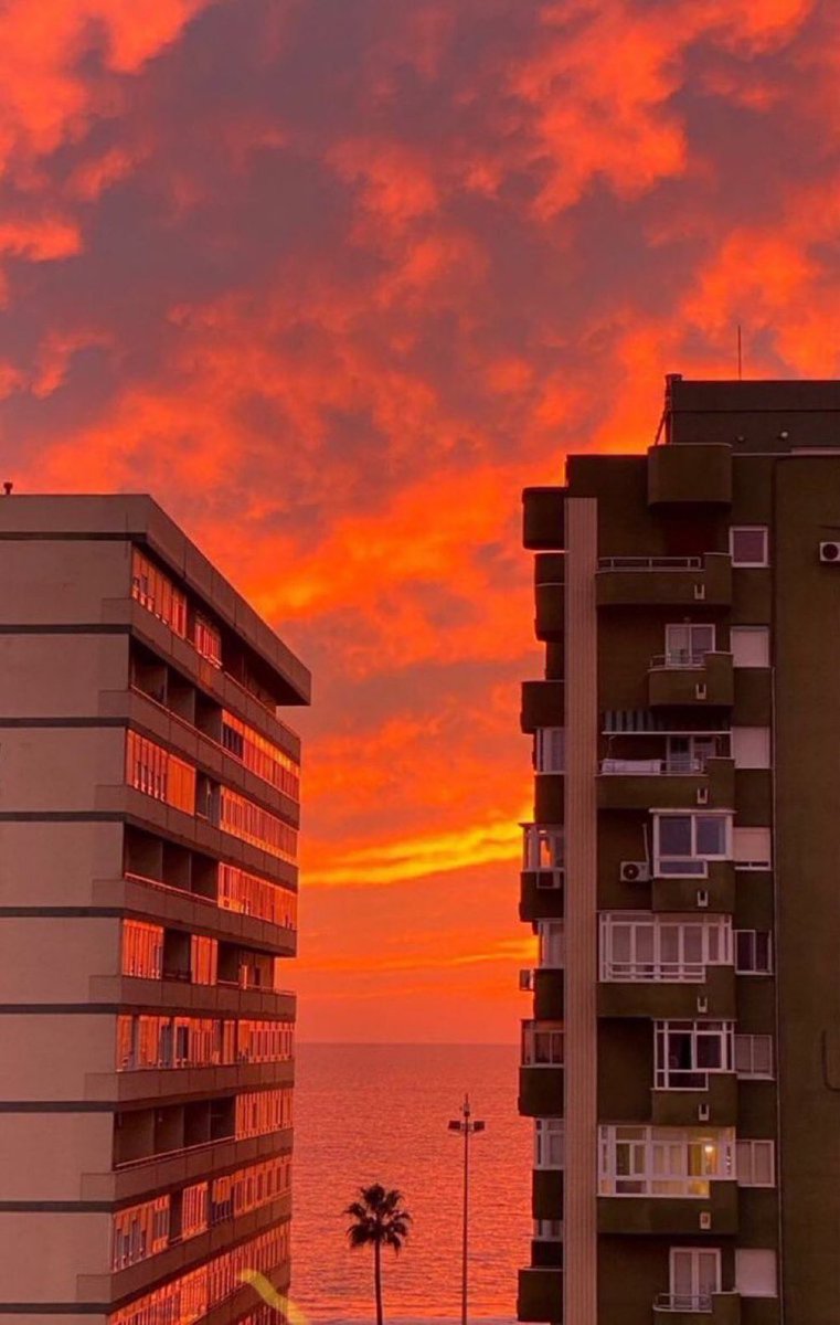 mi amor por los atardeceres es indescriptible