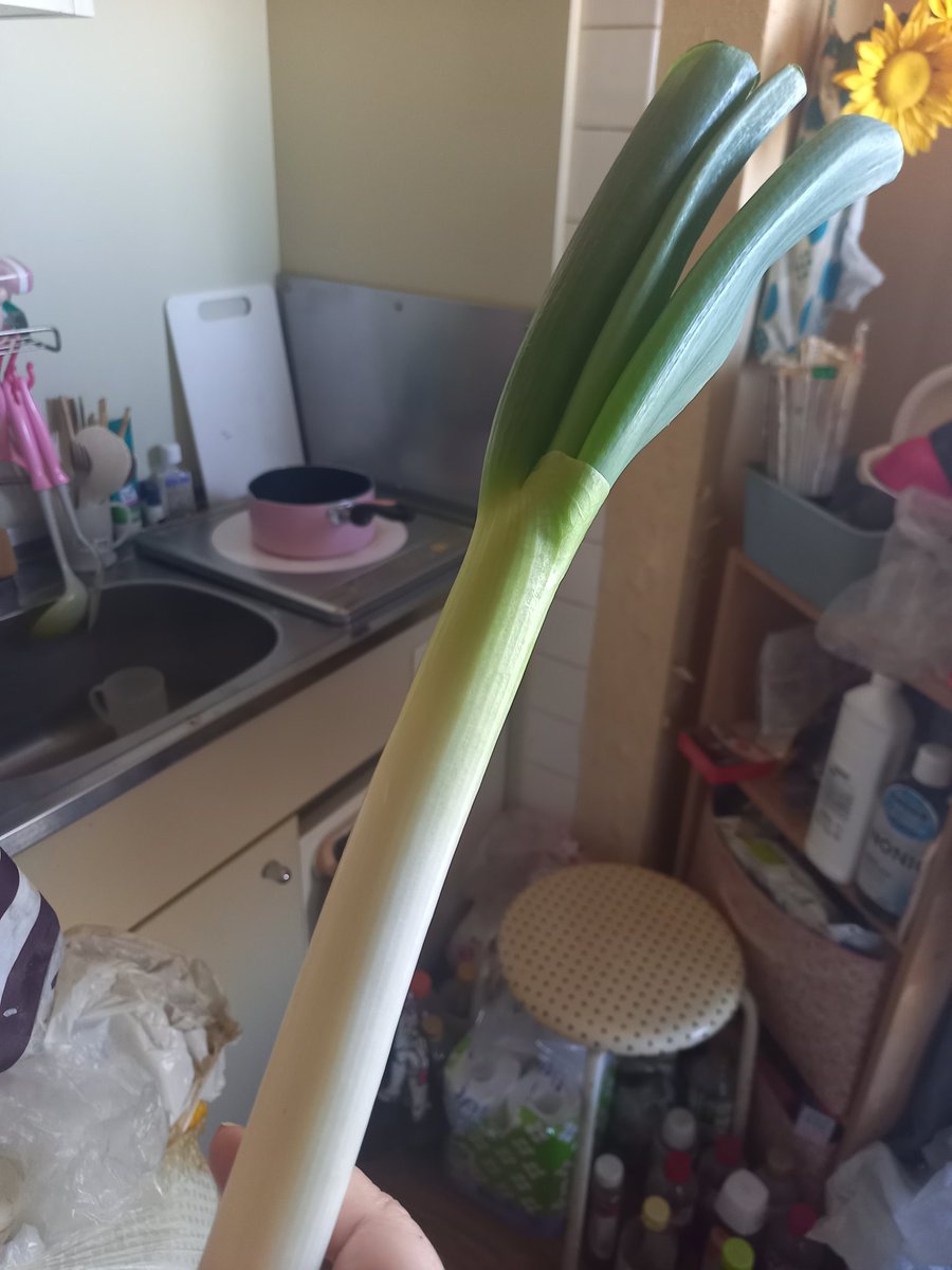 まだまだ😷風邪(病気のカゼ)の方  おネギ効きますよ！