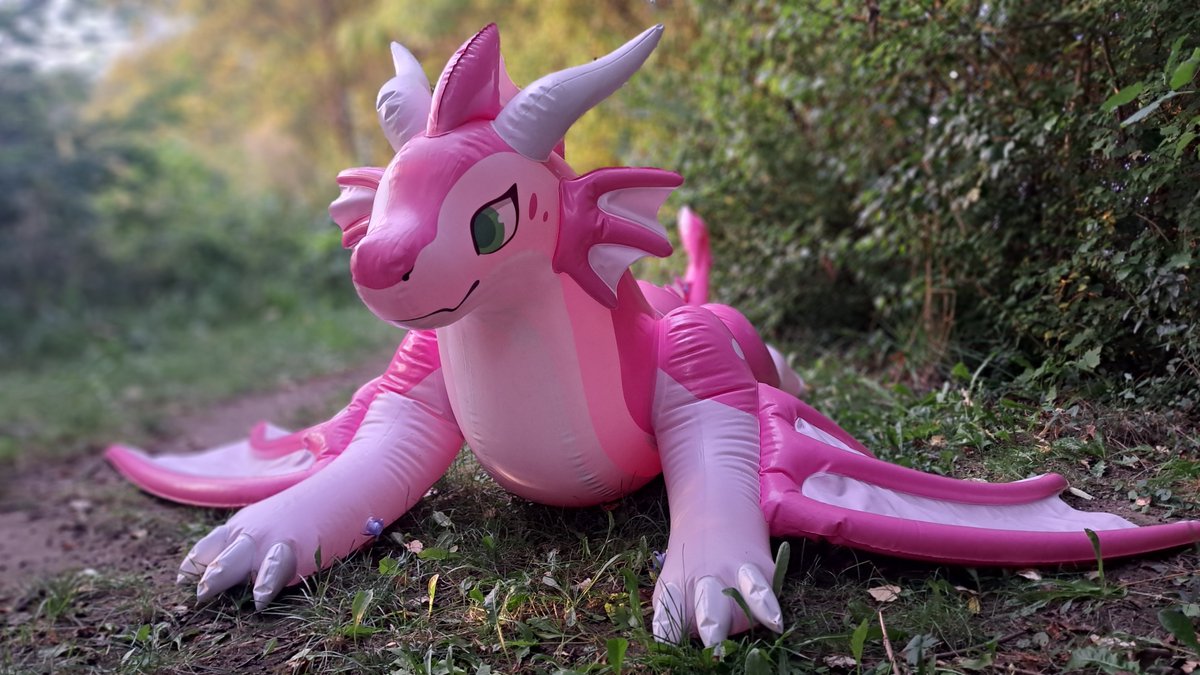 Kyra KuschelFuchs 🦊 tweet media