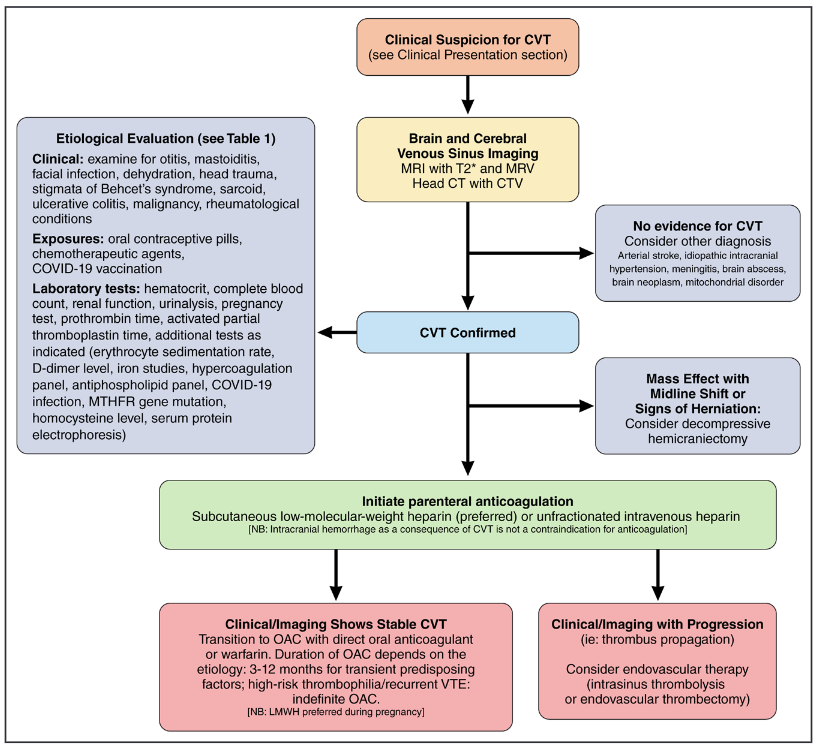 New CSVT Scientific Statement - LMWH officially preferred over heparin and official endorsement of DOACs! ahajournals.org/doi/10.1161/ST…