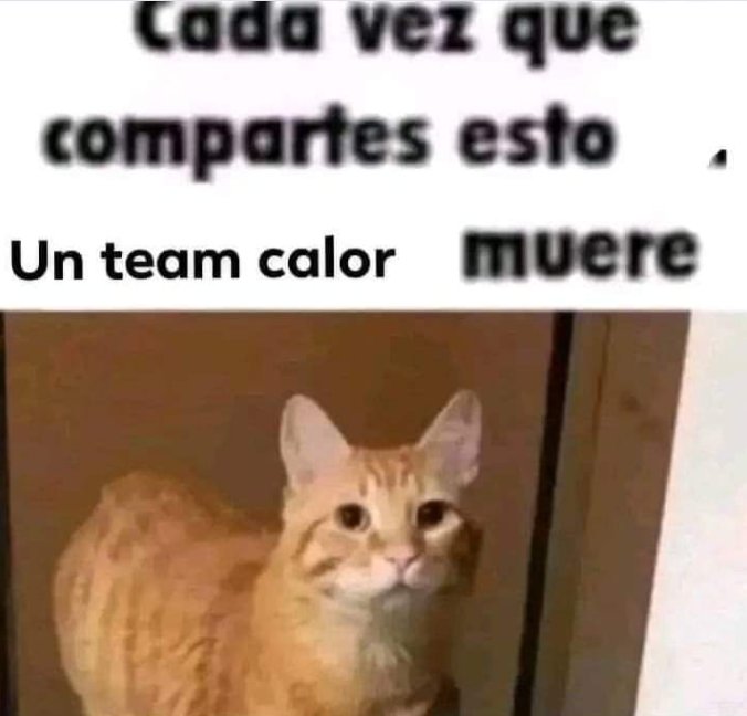 Mega atún (@abellcymeg) on Twitter photo 