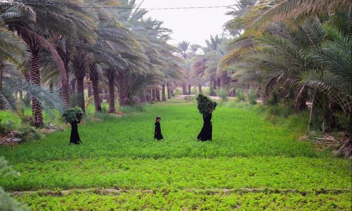 لا تناظر أهل الباطل

ولو ملكت الحجة حتّى تجيد استعمالها

ليس خوفاً على الحق

وإنّما خوفاً عليك

فقد يقتل الإنسان بالعصا

وبيده سيف لا يحسنه.

#اخذ_يلخ