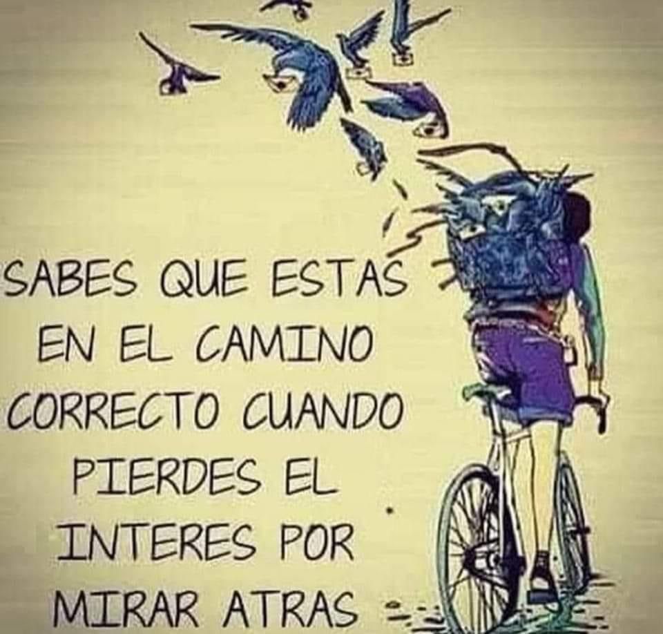 Paulo Coelho Español (@paulocoelhodice) on Twitter photo 