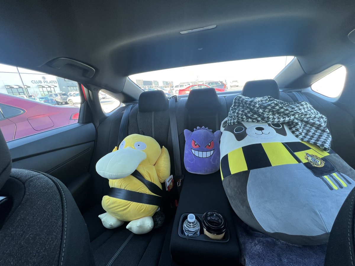 My parents: When are you going to give us grandchildren?
My car’s back seat: