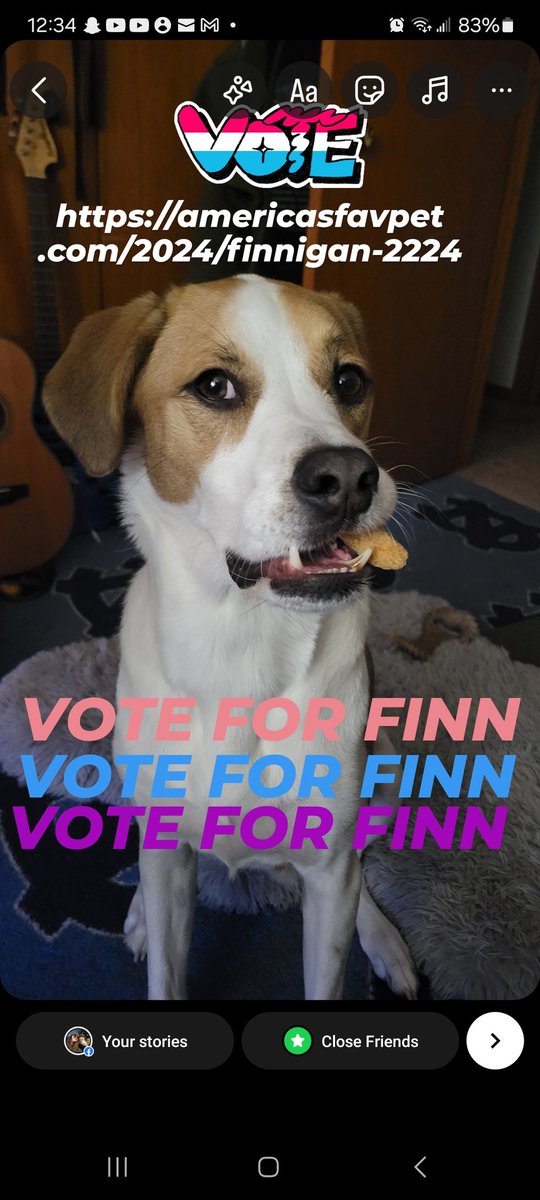 SeintMichael's tweet photo. Vote for Finnigan!!! Please and thank you for any possible support!
https://t.co/Ht5G5pw8U4 https://t.co/GVSlC01DaA