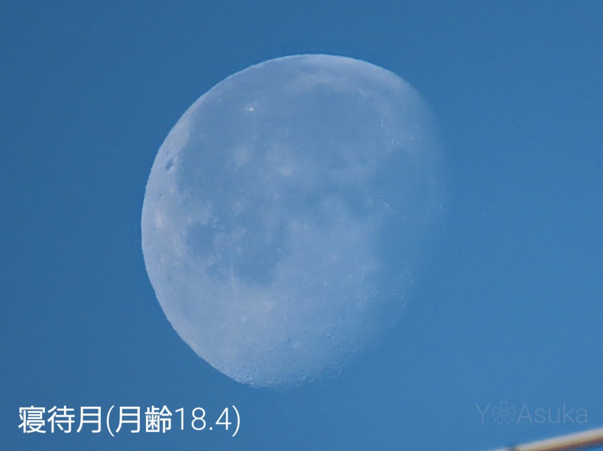 yumeasutw's tweet photo. #青空 にお日様燦々✨山々が霞む冷えた火曜日の朝☀️
西の空に沈み行く白い🌖 #寝待月 (月齢18.4)
予想最高/最低気温🌡️13℃/-2℃
晴れ☀️
お洗濯日和👕👖日溜まりは温もりを感じる穏やかな冬晴れに✨
#イマソラ
#イマツキ #月 #moon
#空の名前 #朝空
#天気の図鑑 #雲の超図鑑
#a2024 #a0130 #a202401 https://t.co/e6FrElttCo