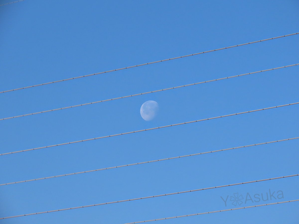 yumeasutw's tweet photo. #青空 にお日様燦々✨山々が霞む冷えた火曜日の朝☀️
西の空に沈み行く白い🌖 #寝待月 (月齢18.4)
予想最高/最低気温🌡️13℃/-2℃
晴れ☀️
お洗濯日和👕👖日溜まりは温もりを感じる穏やかな冬晴れに✨
#イマソラ
#イマツキ #月 #moon
#空の名前 #朝空
#天気の図鑑 #雲の超図鑑
#a2024 #a0130 #a202401 https://t.co/e6FrElttCo