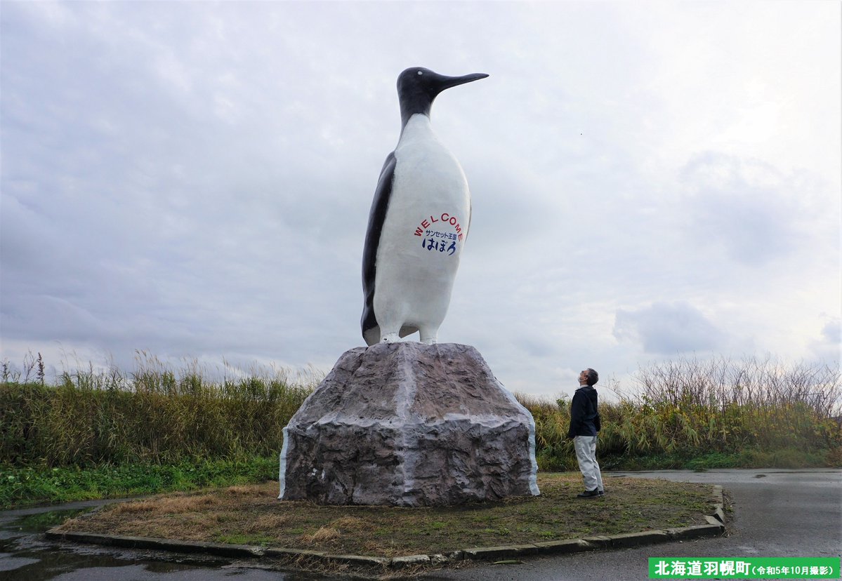 巨大なペンギン出現！？】 #北海道 #羽幌町 を訪れると、国道232号沿い
