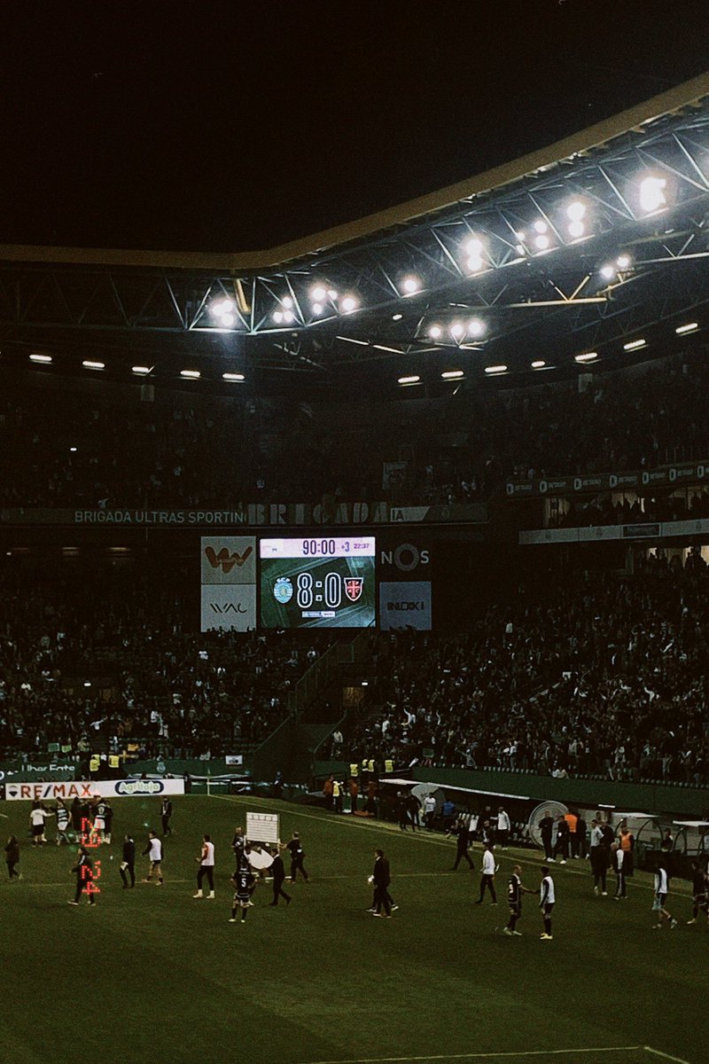 eu amo-te, grande Sporting 💚