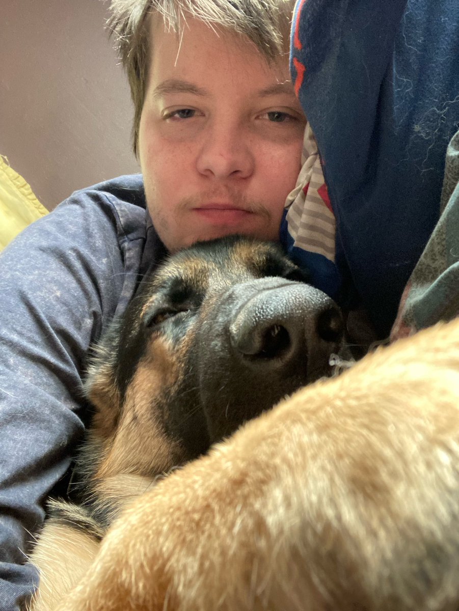 Link! 🐾 tweet media