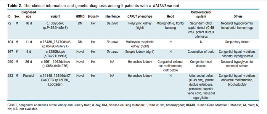 KIReports's tweet photo. 13) Monogenic disease
45 pathogenic or like pathogenic SNVs in 30 genes (35 patients)
Inheritance (30 genes)
AD (13)
AR (10)
AD/ AR (4)
XLD (1)
XLD/ XLR (2)

=> 15 of 30 were #syndromic
=>KMT2D, Kabuki syndrome (5 patients) [#PKD, MCDK, ectopic kidney, and horseshoe kidney] https://t.co/xnqBf4JCMf