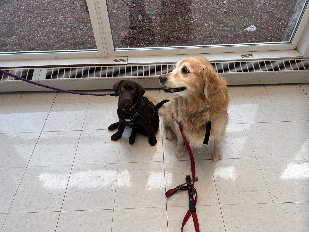 Nurse Stacey tweet media