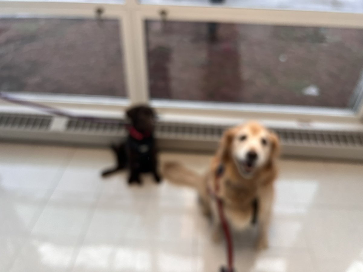 Nurse Stacey tweet media