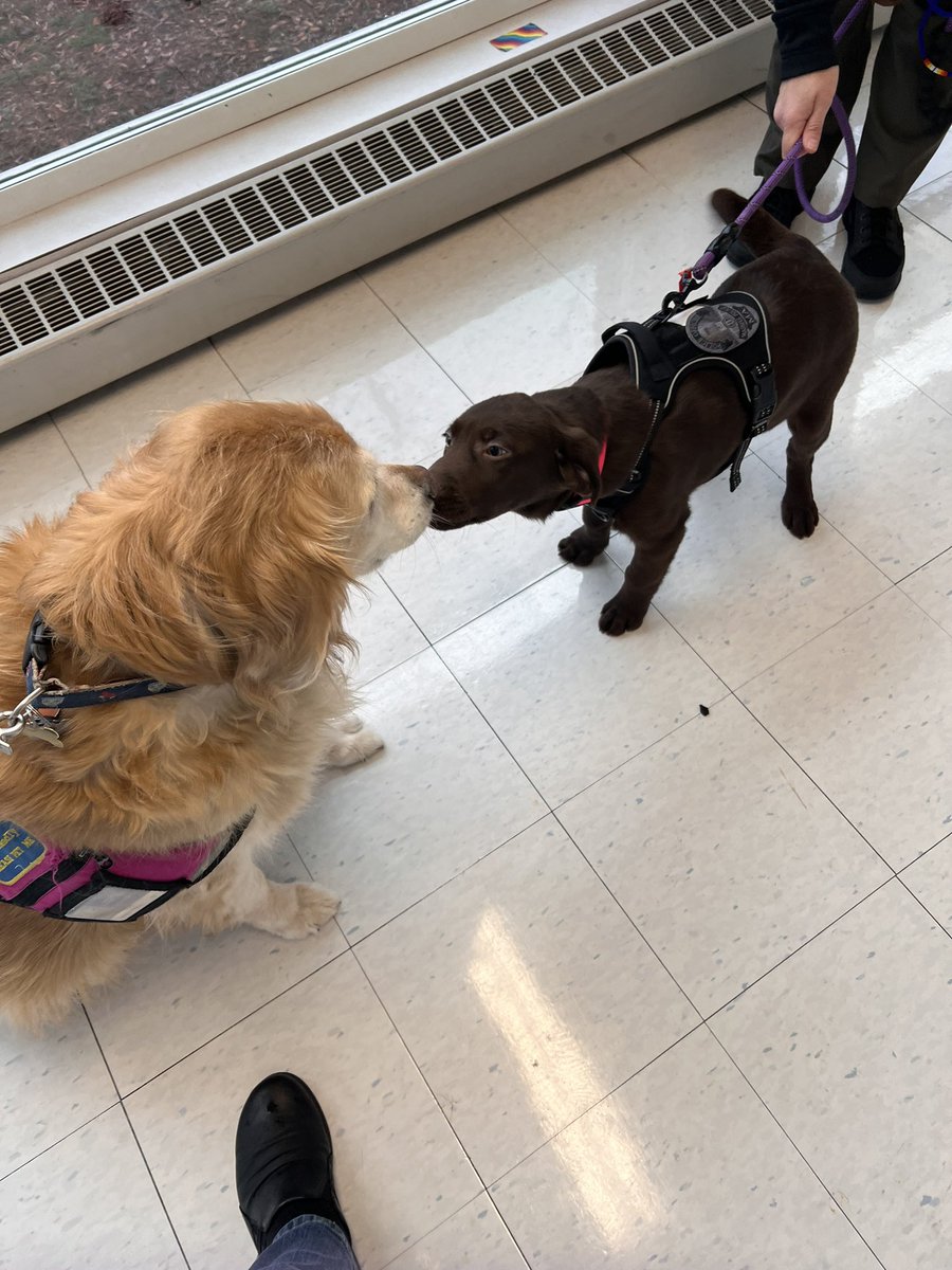 Nurse Stacey tweet media