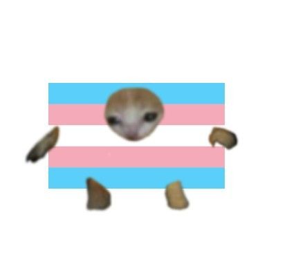 iseblifee's tweet image. feliz dia da visibilidade trans! 
para nos transboys, bi gêneros, ageneros, não-binários, gêneros fluídos, transgirls...
para todos nos que temos um caminho bem complicado, mas somos fodas e demais e aguentamos, por nós e por cada pessoa trans que infelizmente