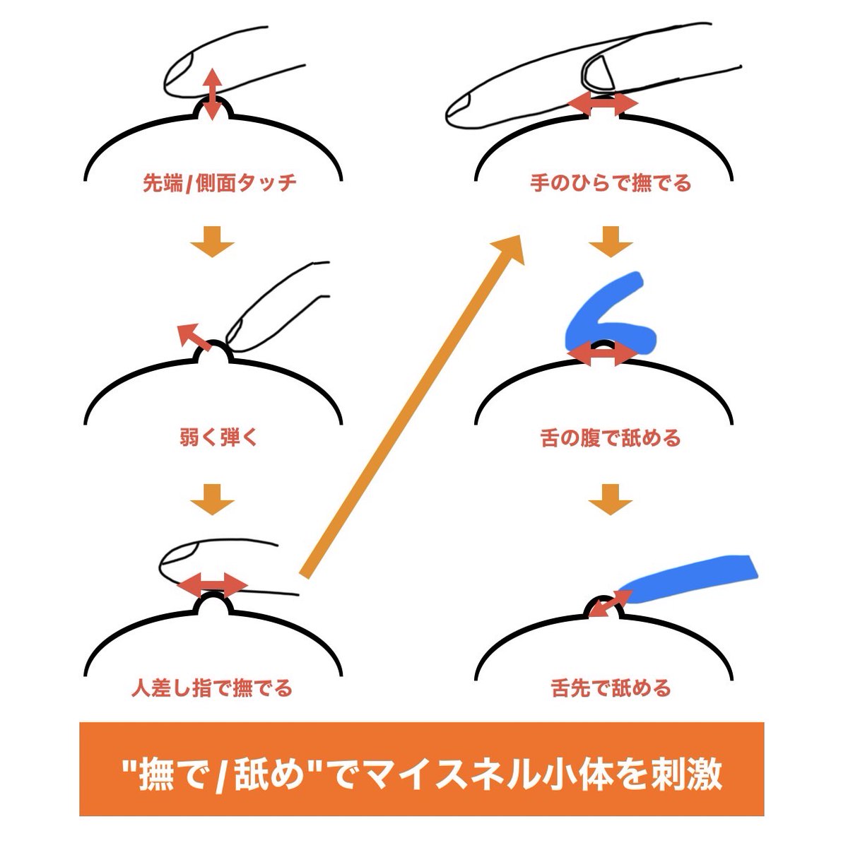 0101marutini's tweet photo. 【悶絶必至!ち〇びだけでイってしまうセンサー別責め方】

※ち〇びへの刺激を感じる"2種類のセンサー"は目に見えないが、

これを意識しないと"与える刺激"を間違ってしまい、感度を高められないから最後まで読んで。

①"撫で/舐め"で「ち〇びのマイスネル小体」を刺激しろ
②"押し込み/引っ張り"で「ち〇びのパチニ小体」を刺激しろ

※以下解説します↓
--------------------------------------
①"撫で/舐め"で「ち〇びのマイスネル小体」を刺激しろ
--------------------------------------

まずは、"撫で/舐め"といった弱い刺激に敏感に反応する「マイスネル小体」を刺激すると

優しさや愛情が伝わり、安心感で女性の感度をグンと高めることができる。

ち〇びの刺激方法は以下の6種類。

❶人差し指で"先端/側面"タッ���
❷人差し指で"弱く弾く"
❸"人差し指"で撫でる
❹"手のひら"で撫でる
❺"舌の腹"で舐める
❻"舌の先"で舐める

一番弱い刺激である"❶先端タッチ"から"❻"舌の先"で舐める"まで順番にすると

刺激が"徐々に強く"なっていき、女性の"感度"も跳ね上がってくる。

ポイントは「女性が欲しい刺激よりも、少し弱く刺激すること」

もし女性が声を出すほど感じていれば、それが欲しい刺激なので、若干弱くし

何も感じていないようなら、少し強く刺激する。

このように"撫で/舐め"の刺激で女性を気持ちよくさせてほしい。

--------------------------------------
②"押し込み/引っ張り"で「ち〇びのパチニ小体」を刺激しろ
--------------------------------------

そして、"押し込み/引っ張り"といった強い刺激を感じる「パチニ小体」を刺激す��と

"激しい性的快感"を感じ、女性によっては気持ちよくなってイッてしまう。

ち〇びの刺激方法は以下の6種類。

❶唇で圧迫
❷舌で押し込む
❸"甘噛み"して引っ張る
❹舌を速く動かして"振動"
❺舌で"転がして"こねる
❻"吸いながら"舌で押し込む

この順番でこの刺激を与えると、必ず女性が"好きな刺激"があるので

女性の声を聞いて、���応が良いものを選んで"刺激を継続"しよう。

しかし、同じ刺激を"5分以上"与え続けると感覚が鈍くなるので

一旦"他の刺激"に移ってから、再度刺激すると感度が"復活"する。

ちなみに俺自身は、ち〇びを刺激しながら反対の手で"頭/顔/肩"をフェザーしている。

すると、"フェザーの安心感"と"ち〇びの快感"で女性はさらに感度を高めることができる。

これら2つのセンサーの違いを理解して攻めれば、

感度を高め続けて"イ〇せる"こともできるので、実践してほしい。

今なら

1.ディメセク紹介プレミアム動画
2.夜の営みおすすめテクニック集50選
3.彼女を人生で初めて中◯きさせてあげた話 PDF20枚
4.99%の男が知らない前○完全マニュアル
5.99%イかせる！？外◯き完全マニュアル 
6.全男性必見。営みにおけるマインドの全て
7.���学的な考察で��解くフェザー完全概論
8.9割の男性が間違えてる?フェザー実践動画
9."女風時代他のセラピストと大きく差別化した"手マソ実践動画
10.ディメセク技術継承会のご案内

豪華10大特典を全て”無料”で受け取ることができます。

興味のある方は

「固定ツイートのリンク」

から10大特典を受け取ってみてください

次回の企画までの期間限定なので
忘れずにお受け取りください

今日の内容がためになった方は、
「いいね」と「引用して感想」をお願いします。感想が良ければRTします。