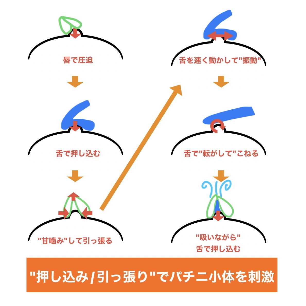 0101marutini's tweet photo. 【悶絶必至!ち〇びだけでイってしまうセンサー別責め方】

※ち〇びへの刺激を感じる"2種類のセンサー"は目に見えないが、

これを意識しないと"与える刺激"を間違ってしまい、感度を高められないから最後まで読んで。

①"撫で/舐め"で「ち〇びのマイスネル小体」を刺激しろ
②"押し込み/引っ張り"で「ち〇びのパチニ小体」を刺激しろ

※以下解説します↓
--------------------------------------
①"撫で/舐め"で「ち〇びのマイスネル小体」を刺激しろ
--------------------------------------

まずは、"撫で/舐め"といった弱い刺激に敏感に反応する「マイスネル小体」を刺激すると

優しさや愛情が伝わり、安心感で女性の感度をグンと高めることができる。

ち〇びの刺激方法は以下の6種類。

❶人差し指で"先端/側面"タッ���
❷人差し指で"弱く弾く"
❸"人差し指"で撫でる
❹"手のひら"で撫でる
❺"舌の腹"で舐める
❻"舌の先"で舐める

一番弱い刺激である"❶先端タッチ"から"❻"舌の先"で舐める"まで順番にすると

刺激が"徐々に強く"なっていき、女性の"感度"も跳ね上がってくる。

ポイントは「女性が欲しい刺激よりも、少し弱く刺激すること」

もし女性が声を出すほど感じていれば、それが欲しい刺激なので、若干弱くし

何も感じていないようなら、少し強く刺激する。

このように"撫で/舐め"の刺激で女性を気持ちよくさせてほしい。

--------------------------------------
②"押し込み/引っ張り"で「ち〇びのパチニ小体」を刺激しろ
--------------------------------------

そして、"押し込み/引っ張り"といった強い刺激を感じる「パチニ小体」を刺激す��と

"激しい性的快感"を感じ、女性によっては気持ちよくなってイッてしまう。

ち〇びの刺激方法は以下の6種類。

❶唇で圧迫
❷舌で押し込む
❸"甘噛み"して引っ張る
❹舌を速く動かして"振動"
❺舌で"転がして"こねる
❻"吸いながら"舌で押し込む

この順番でこの刺激を与えると、必ず女性が"好きな刺激"があるので

女性の声を聞いて、���応が良いものを選んで"刺激を継続"しよう。

しかし、同じ刺激を"5分以上"与え続けると感覚が鈍くなるので

一旦"他の刺激"に移ってから、再度刺激すると感度が"復活"する。

ちなみに俺自身は、ち〇びを刺激しながら反対の手で"頭/顔/肩"をフェザーしている。

すると、"フェザーの安心感"と"ち〇びの快感"で女性はさらに感度を高めることができる。

これら2つのセンサーの違いを理解して攻めれば、

感度を高め続けて"イ〇せる"こともできるので、実践してほしい。

今なら

1.ディメセク紹介プレミアム動画
2.夜の営みおすすめテクニック集50選
3.彼女を人生で初めて中◯きさせてあげた話 PDF20枚
4.99%の男が知らない前○完全マニュアル
5.99%イかせる！？外◯き完全マニュアル 
6.全男性必見。営みにおけるマインドの全て
7.���学的な考察で��解くフェザー完全概論
8.9割の男性が間違えてる?フェザー実践動画
9."女風時代他のセラピストと大きく差別化した"手マソ実践動画
10.ディメセク技術継承会のご案内

豪華10大特典を全て”無料”で受け取ることができます。

興味のある方は

「固定ツイートのリンク」

から10大特典を受け取ってみてください

次回の企画までの期間限定なので
忘れずにお受け取りください

今日の内容がためになった方は、
「いいね」と「引用して感想」をお願いします。感想が良ければRTします。