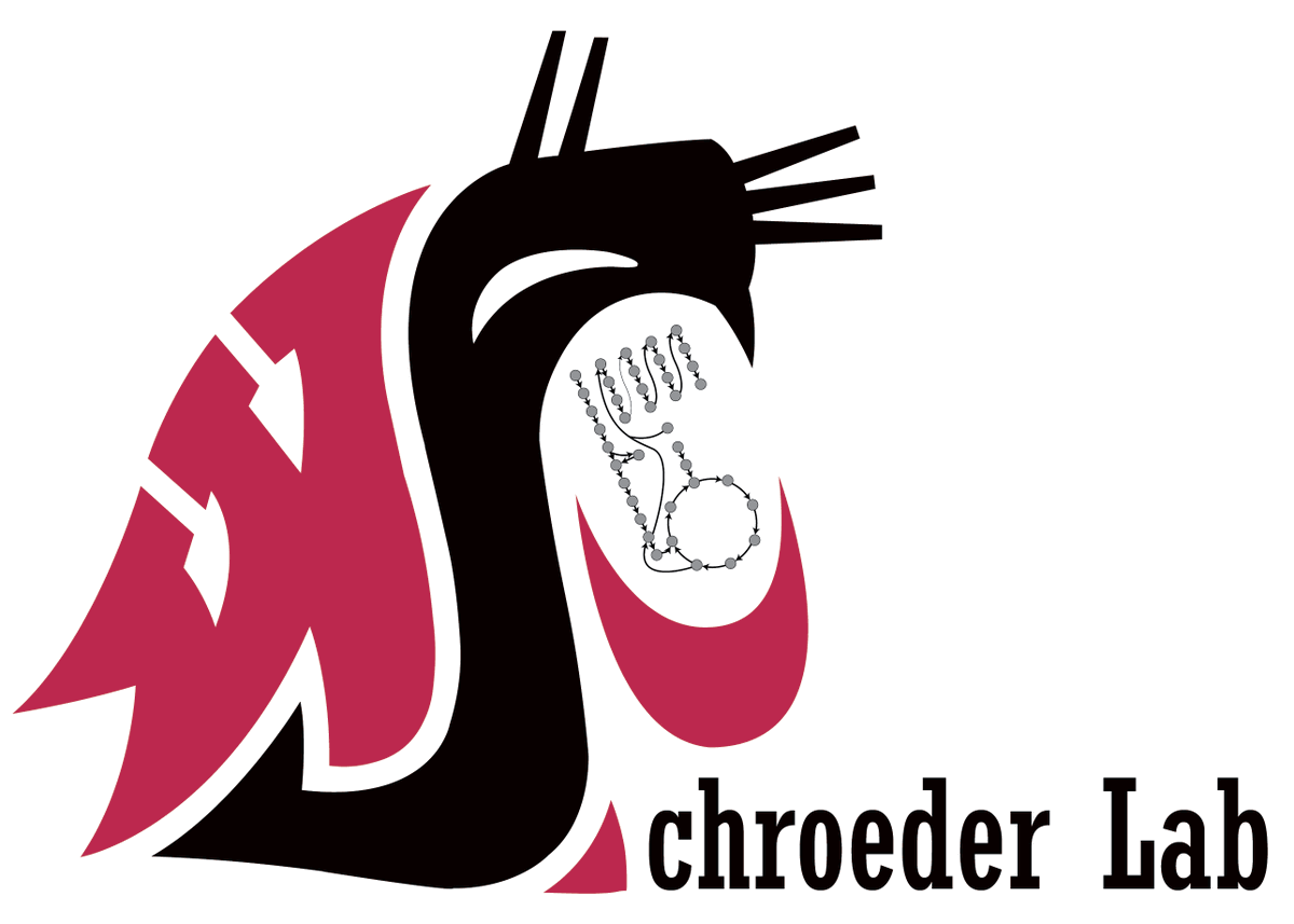 BowTie_PhD's tweet photo. I am happy to announce I have accepted a tenure-track Assistant Professorship in the @WSUVoiland School of Chemical Engineering and Bioengineering. The #SchroederLab will use #metabolic modeling to study and design interventions to minimize the effects of #drought in plants. #WSU https://t.co/vwqO8do21j