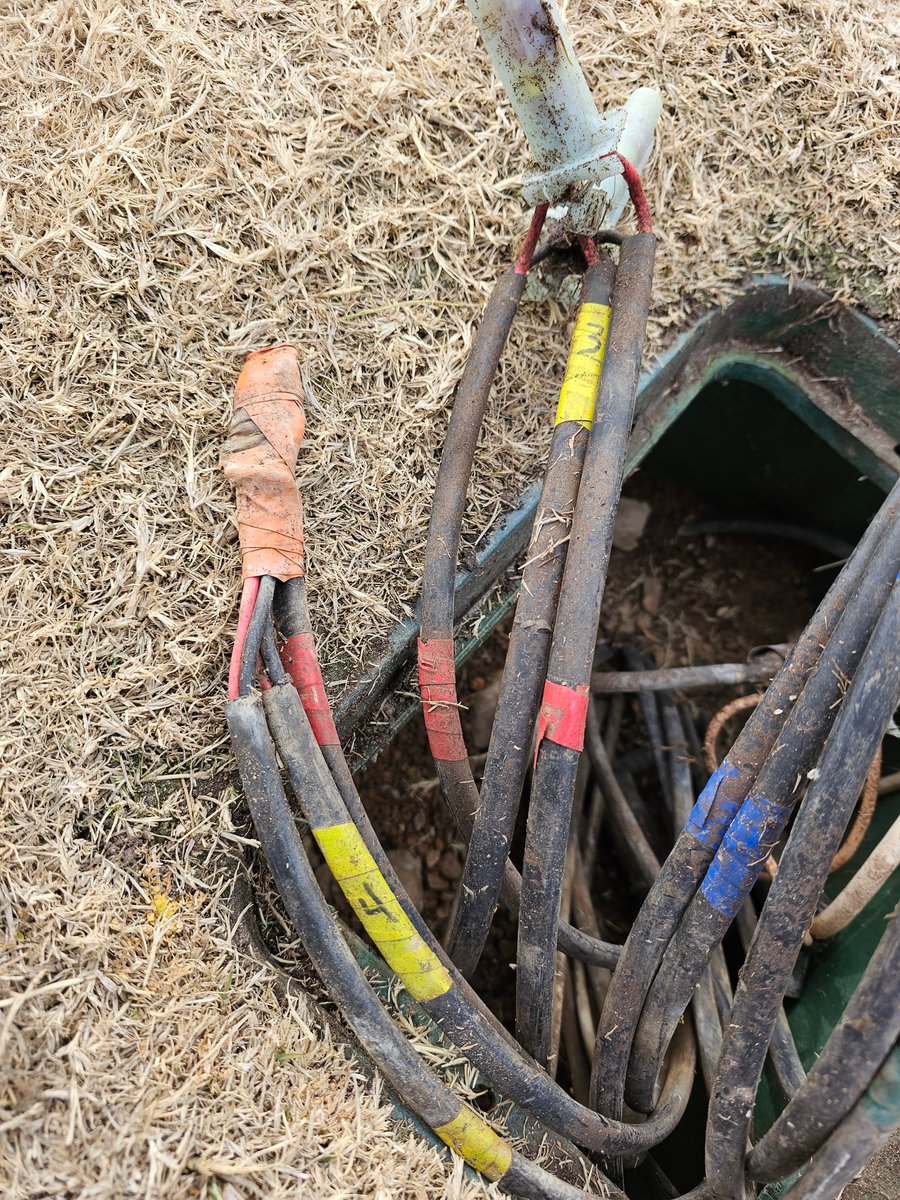 Zack Stephens tweet media