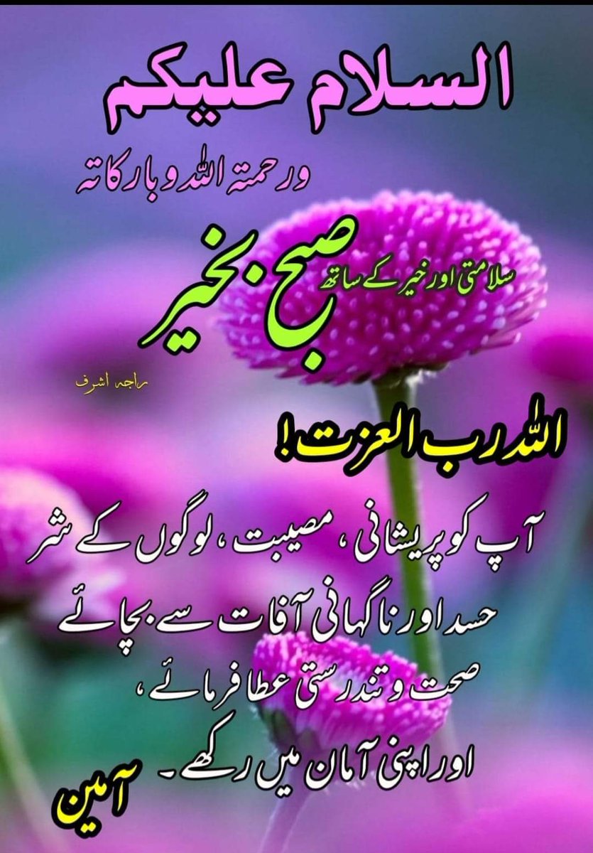 اسلام وعلیکم ورحمتہ اللہ وبرکاتہ 🌹✨️ سلامتی اور خیر کے ساتھ سب کو صبح بخیر 🌄✨️

اللہ رب العزت!

آپ کو پریشانی، مصیبت، لوگوں کے شر حسد اور ناگہانی آفات سے بچائے صحت اور تندرستی عطا فرمائے، اور اپنی آمان میں رکھے۔

آمین یا رب العالمین۔