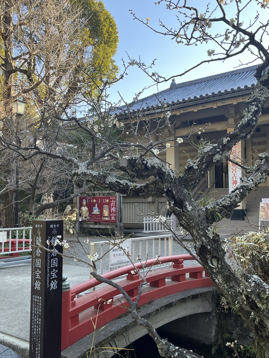 kamakura_museum tweet picture