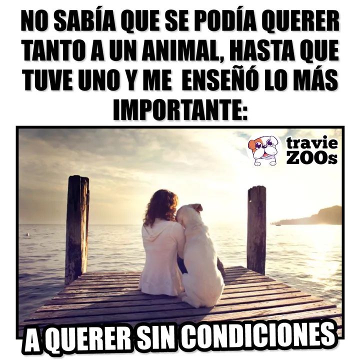 Buenas noches ✨💖