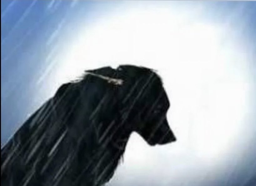 jojito (@itadorifnaf) on Twitter photo 