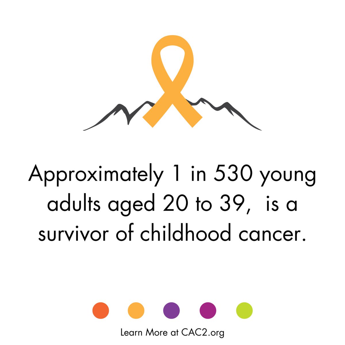 JoeBaber1's tweet image. Some would say that survivorship requires  as much, if not more, work than the cancer treatment. If you have a #ChildhoodCancer survivor, you would benefit from the #cac2survivorshiptoolkit. @cac2org @HappyQuailPress @leezawilllshe @marb1111 @mary_lckc 
cac2.org/empowering-liv…