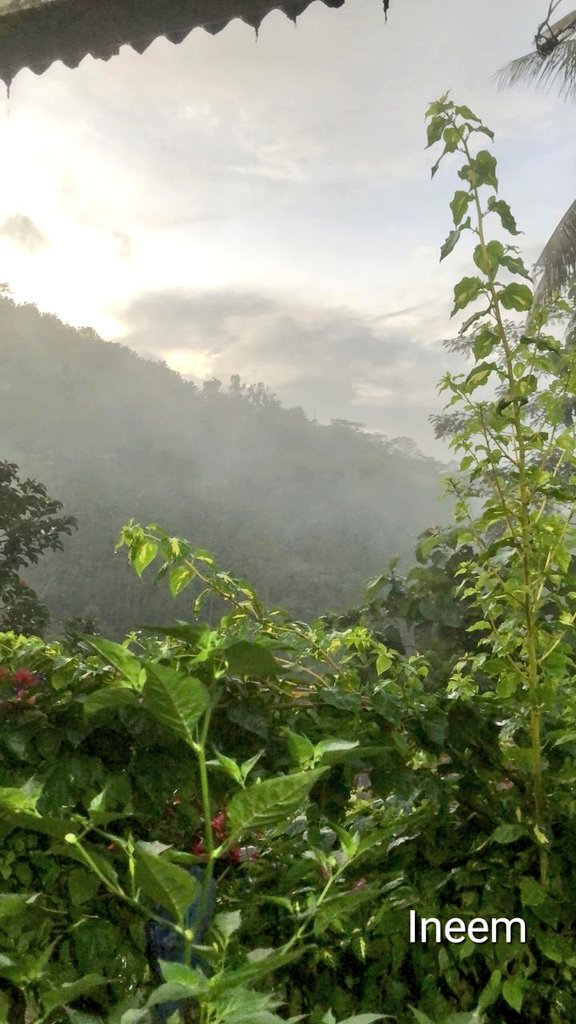 Jika nanti sabarku menjadi letih, maklumlah, karena mengerti terus menerus itu sangat melelahkan
Jika ingin tahu aku yang sebenarnya, maka temui aku saat sendiriku
Karena saat keramaian aku pandai berbohong
#CelahAwan

Selamat pagi ⛅️

☕️
Menepi